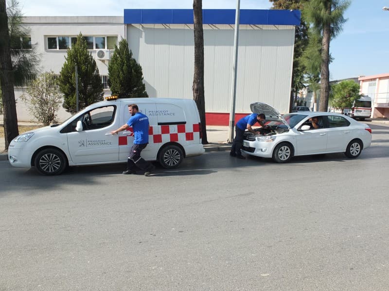 Peugeot Pasta Cila Uzman